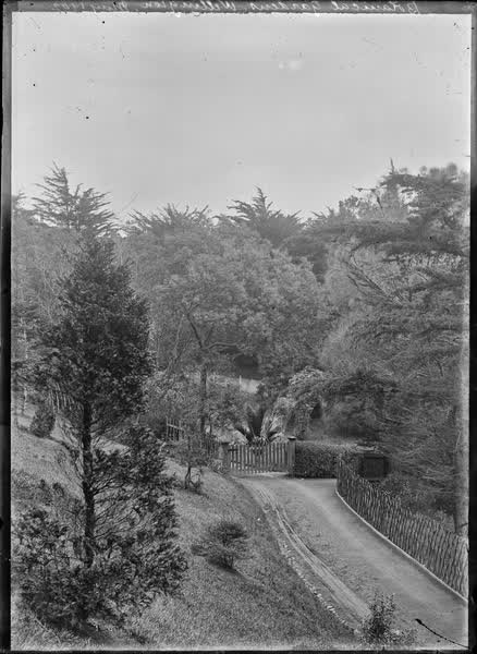 Botanical Gardens, Wellington, May 1902, 1902