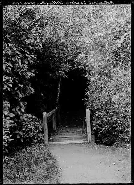 Botanical Gardens, Wellington, May 1902, 1902