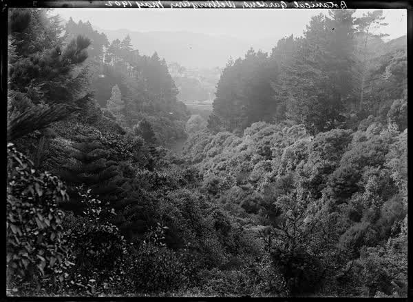 Botanical Gardens, Wellington, May 1902, 1902