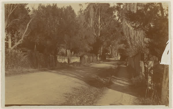Front gate to "Hillwood" orchard on Bridle Path Road., 1900