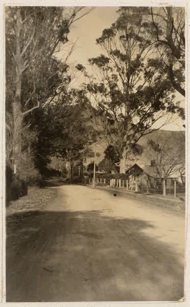 Bridle Path Road, Heathcote, 1910