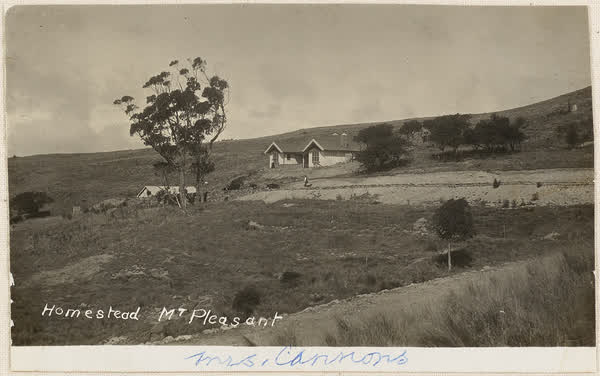 Mrs Cannon's homestead at Mt. Pleasant, 1910