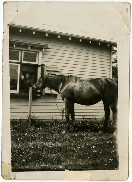 Alice Grundy feeding Topsy the horse, 1920