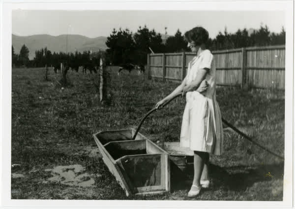 Alice Grundy watering a trough, 1920
