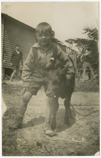 Boy with a calf, 1925
