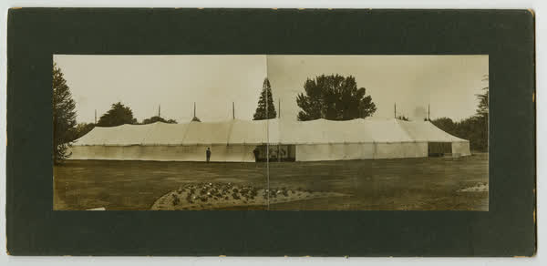 Johnson and Couzins marquee in the Botanic Gardens, 1900