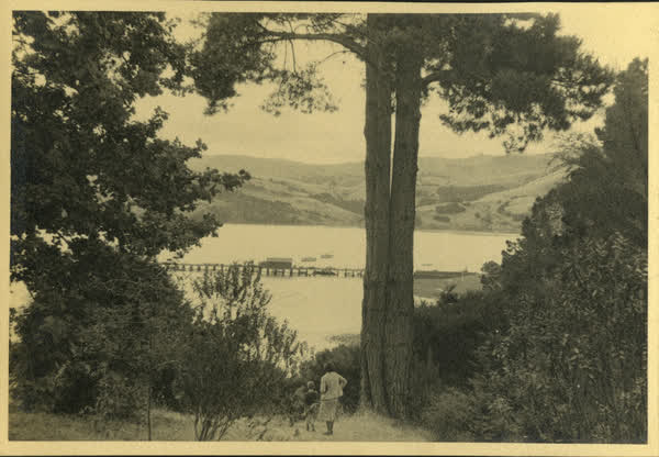 Akaroa Harbour from the domain, 1940