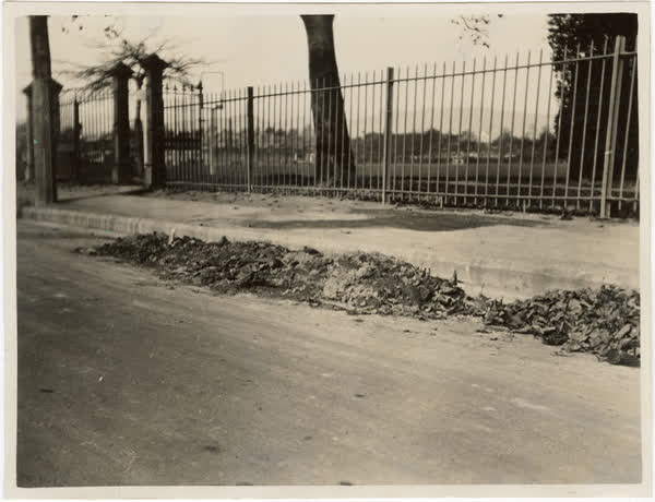 The site of Mr McKeon's accident, 1934