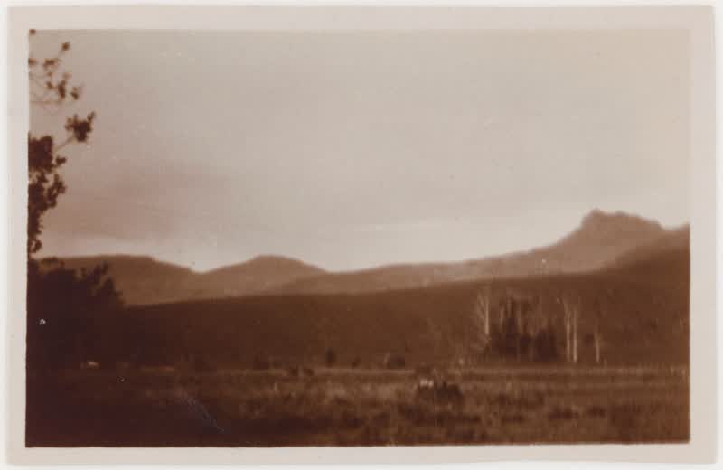[Christchurch countryside]., 1920