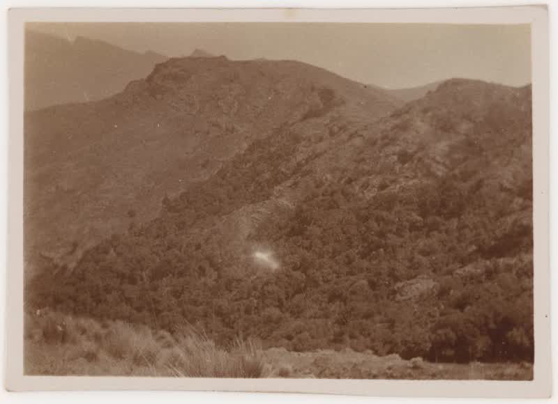 [Christchurch countryside]., 1920