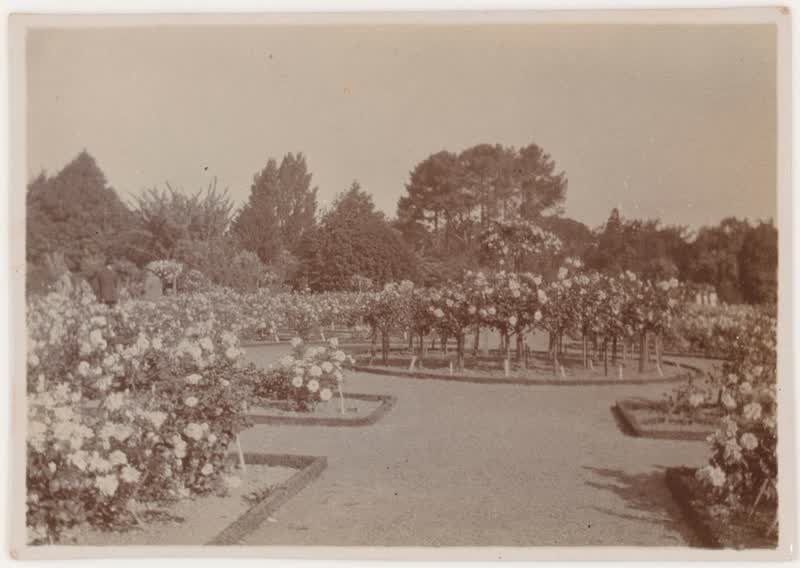 [Public Gardens, Christchurch]., 1920