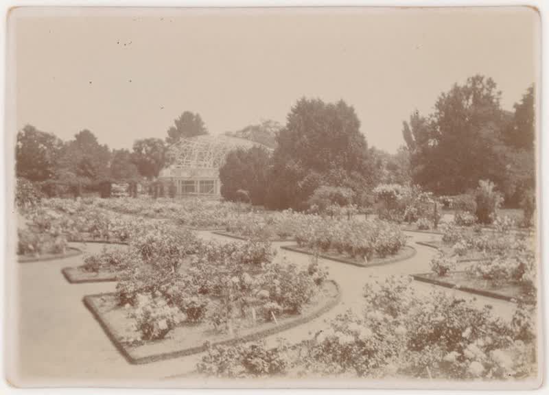 [Public Gardens, Christchurch]., 1920