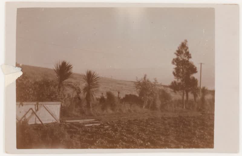 [Christchurch countryside]., 1920