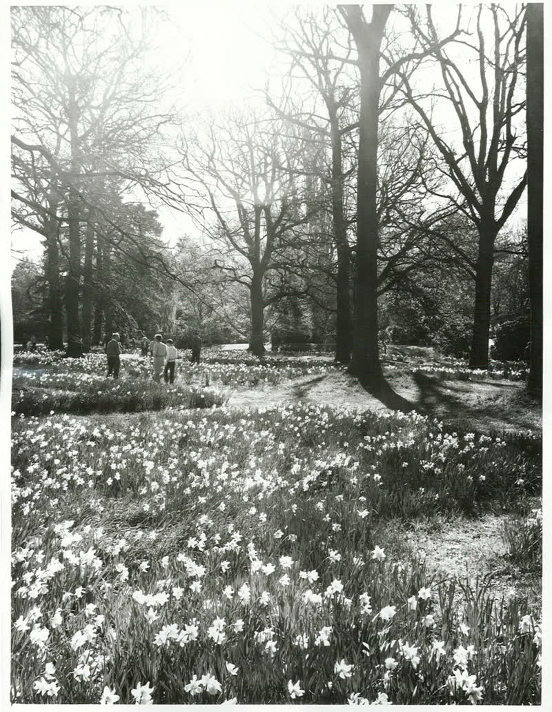 Hagley Park, 1970