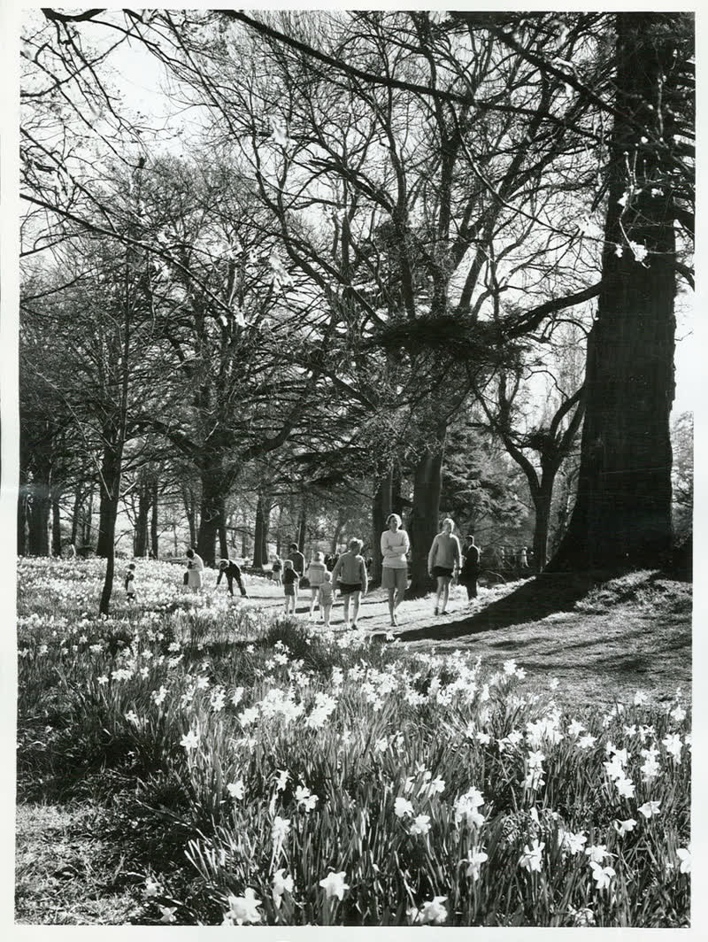 Canterbury - Christchurch City - Hagley Park, 1970
