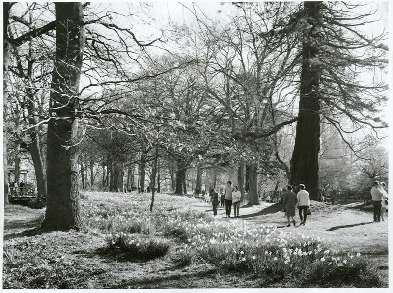 Canterbury - Christchurch City - Hagley Park, 1970