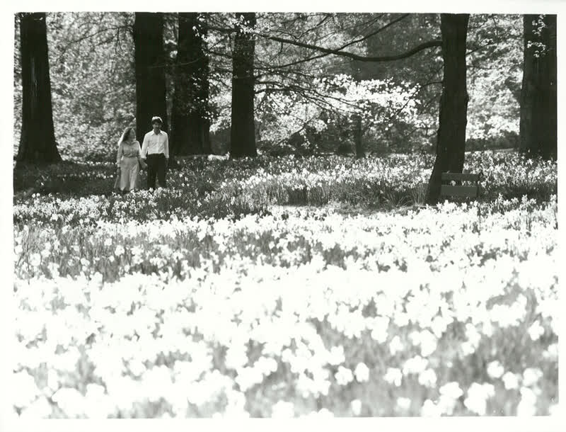 Canterbury - Christchurch - Parks & Reserves, 1980