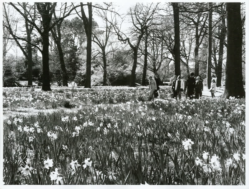 Canterbury - Christchurch City - Hagley Park, 1970