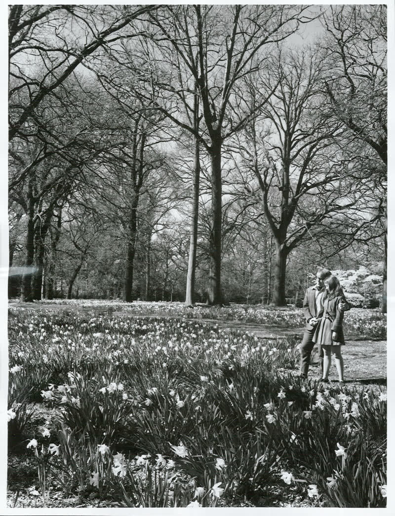 Canterbury - Christchurch City - Hagley Park [river Avon], 1970