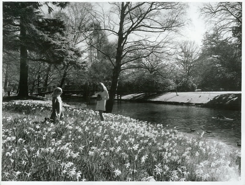 Canterbury - Christchurch City - Avon River, 1970