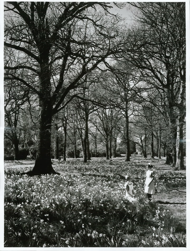 Canterbury - Christchurch City - Hagley Park, 1970