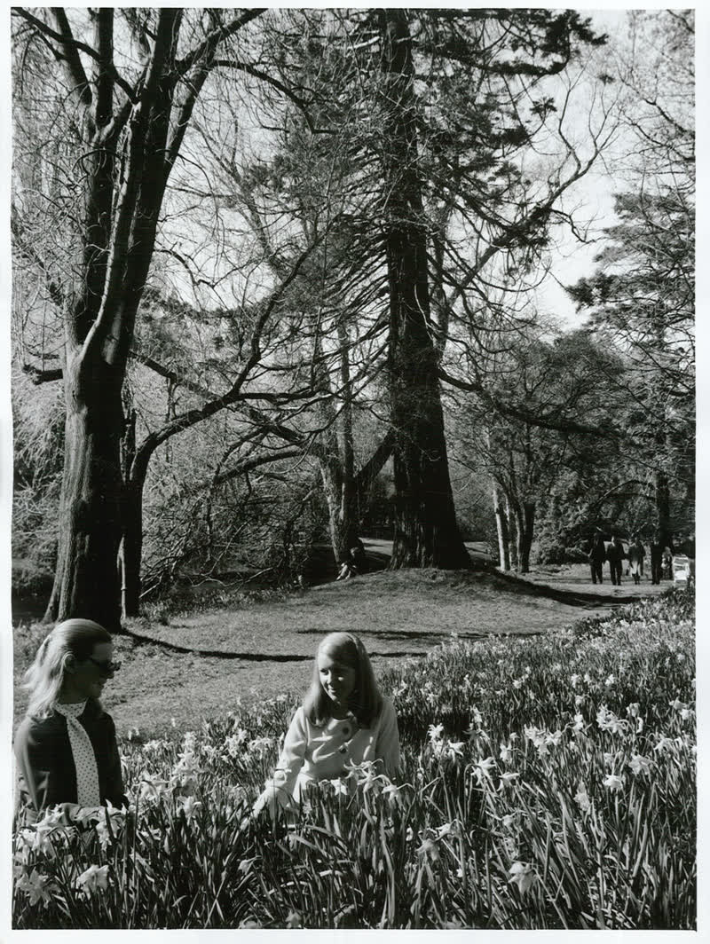 Canterbury - Christchurch City - Hagley Park, 1970