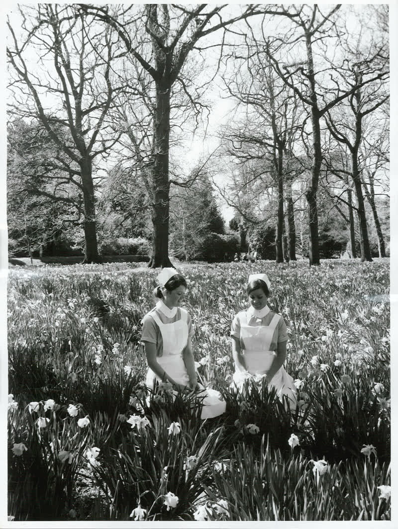 Canterbury - Christchurch City - Hagley Park, 1970
