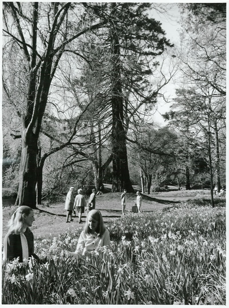 Canterbury - Christchurch City - Hagley Park, 1970