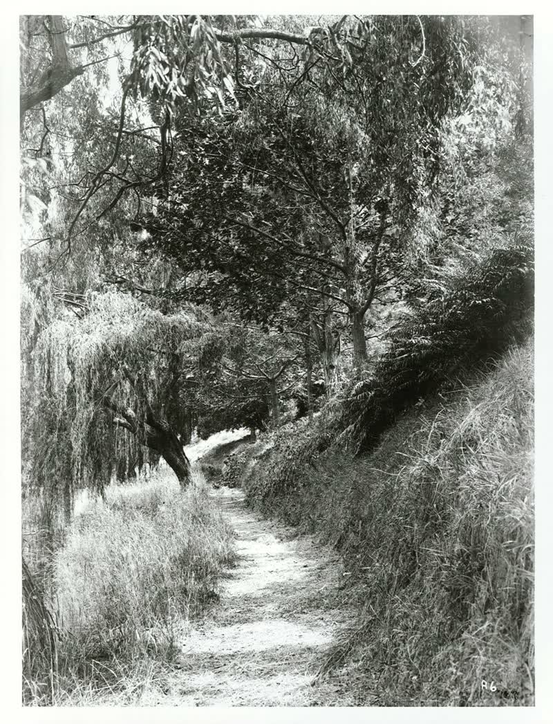 Christchurch, Canterbury - Path along the Avon River bank in Hagley Park, 1900