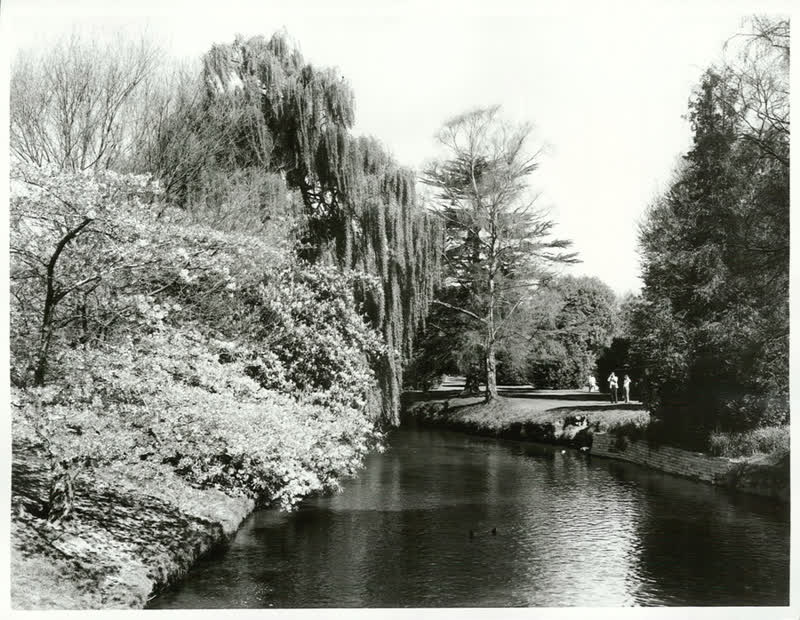 Canterbury - Christchurch City - Avon River, 1973