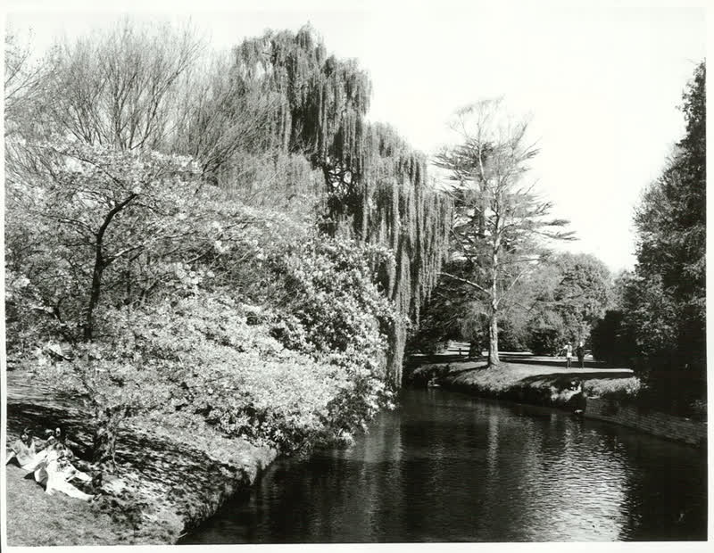 Canterbury - Christchurch City - Avon River, 1973