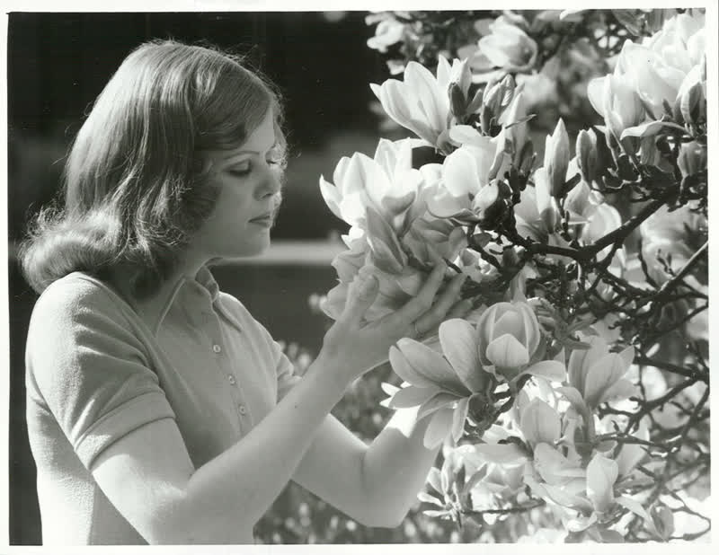 Government Service - Tourist & Publicity Department - NPS - Models, 1973