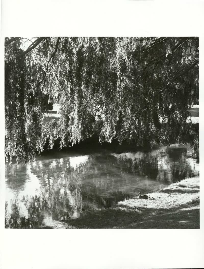CANTERBURY - Christchurch City - Hagley Park, 1976