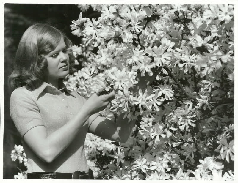 Government Service - Tourist & Publicity Department - NPS - Models, 1973