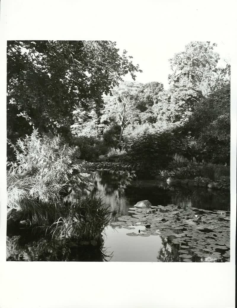 CANTERBURY - Christchurch City - Hagley Park, 1976