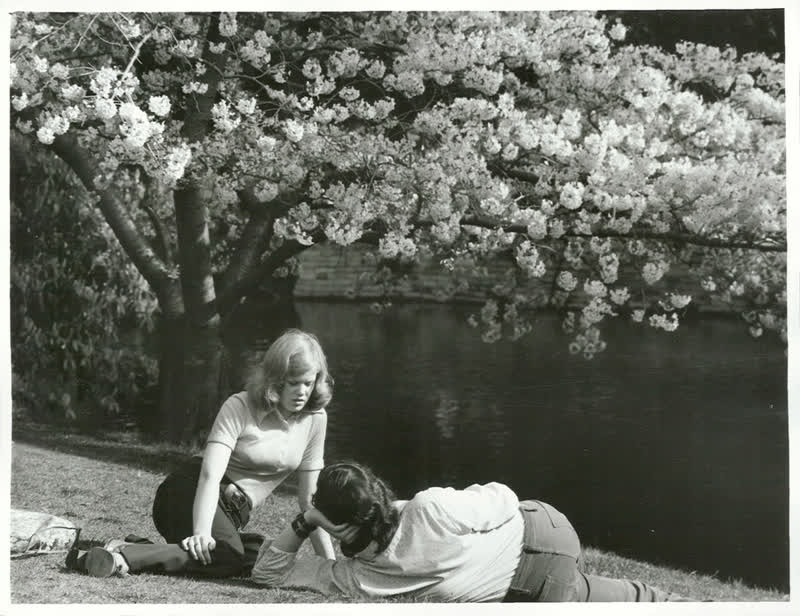 Canterbury - Christchurch City - Avon River, 1973