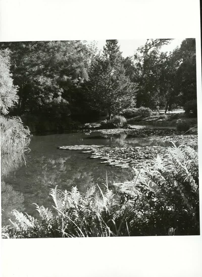 CANTERBURY - Christchurch City - Hagley Park, 1976