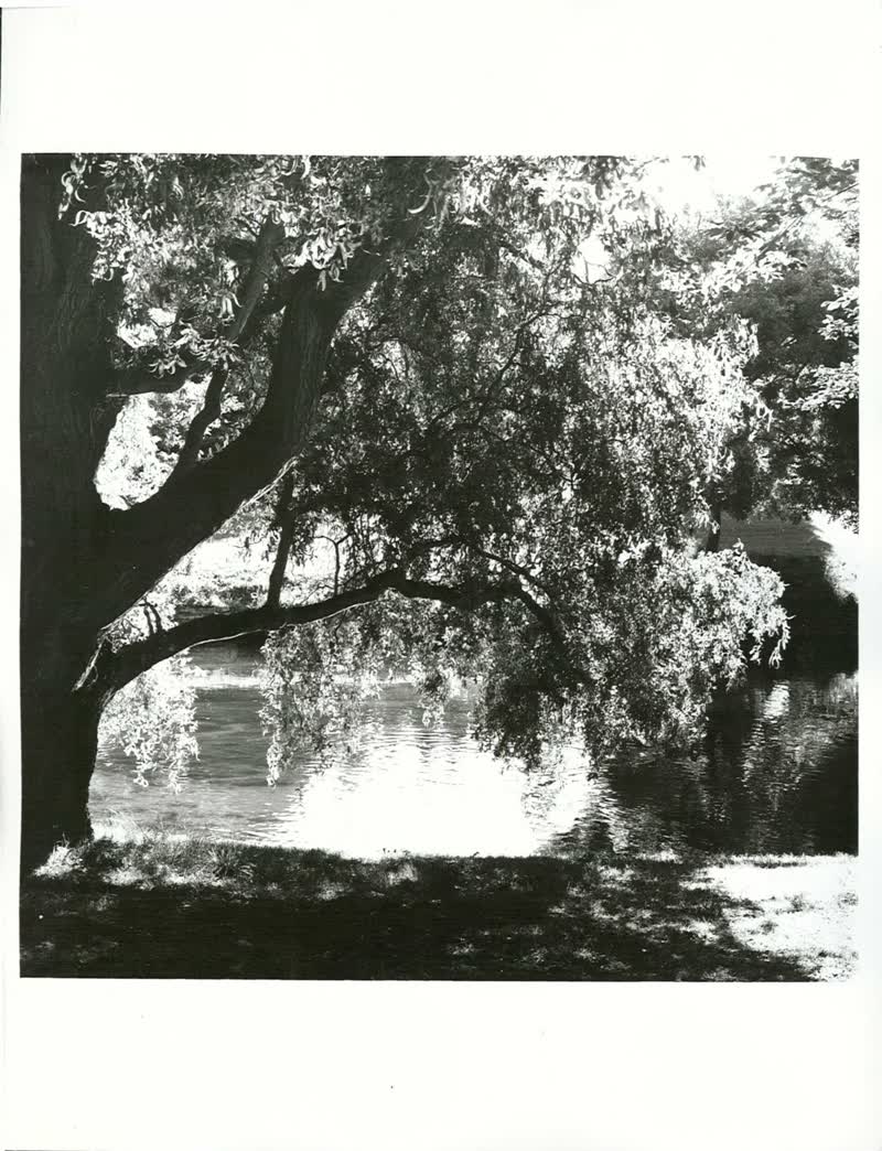 CANTERBURY - Christchurch City - Hagley Park, 1976
