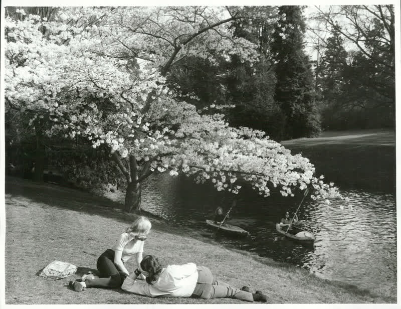 Canterbury - Christchurch City - Avon River, 1973