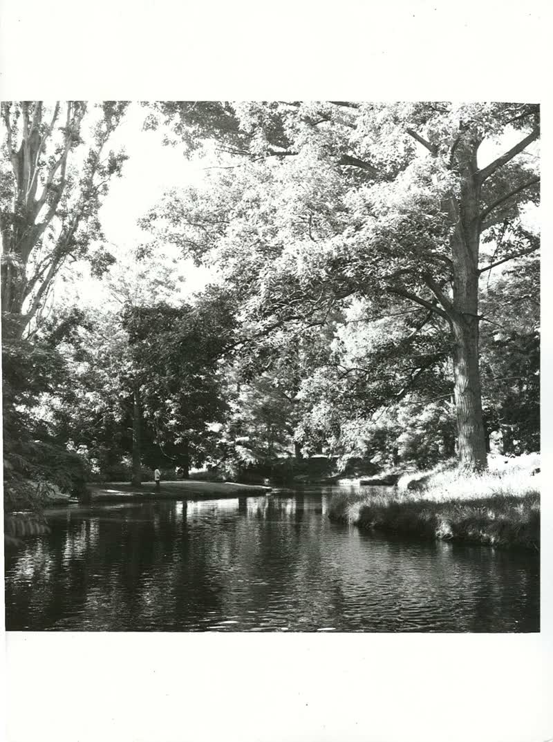 CANTERBURY - Christchurch City - Hagley Park, 1976