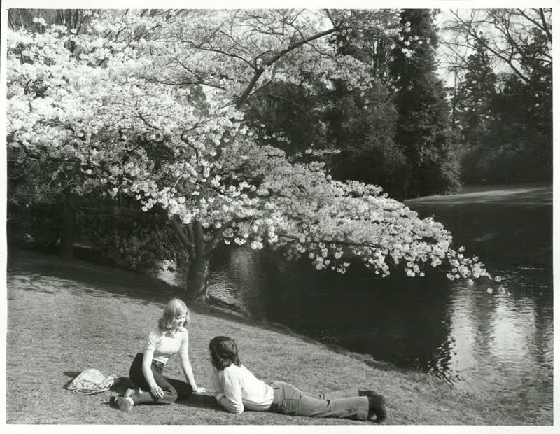 Canterbury - Christchurch City - Avon River, 1973