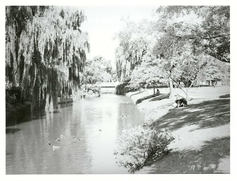 Christchurch, Canterbury, 1900