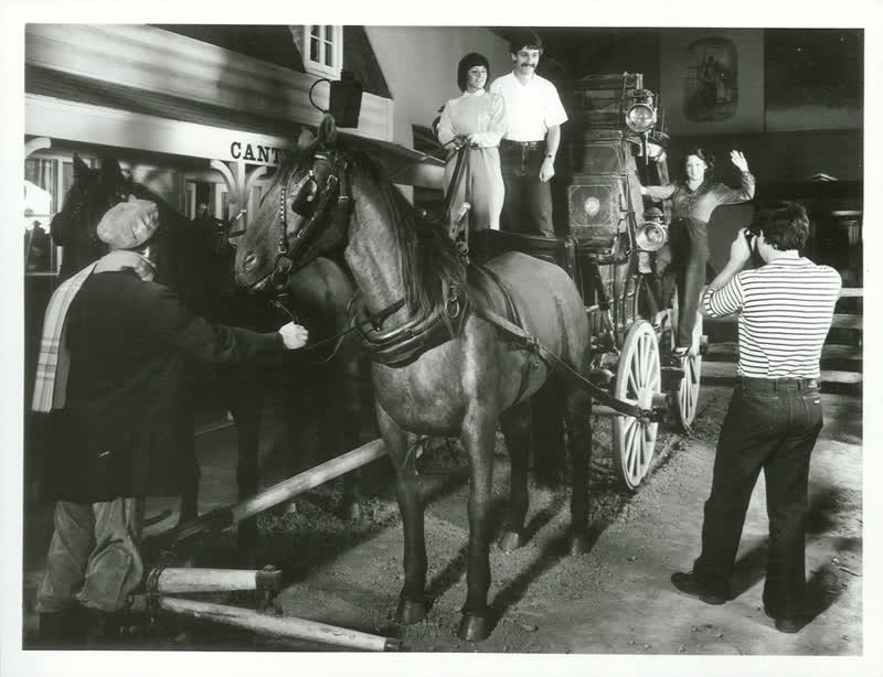 Museums, 1981