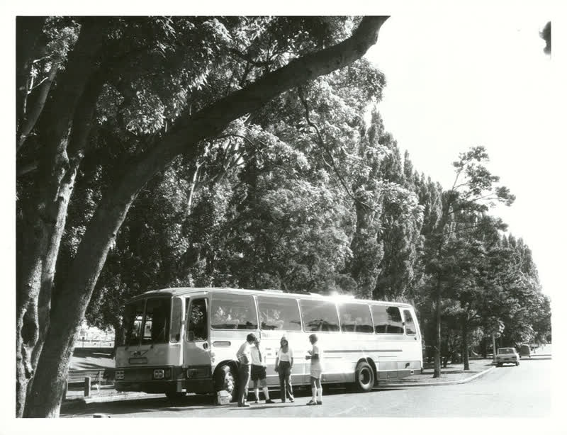 Transport - Buses, 1977
