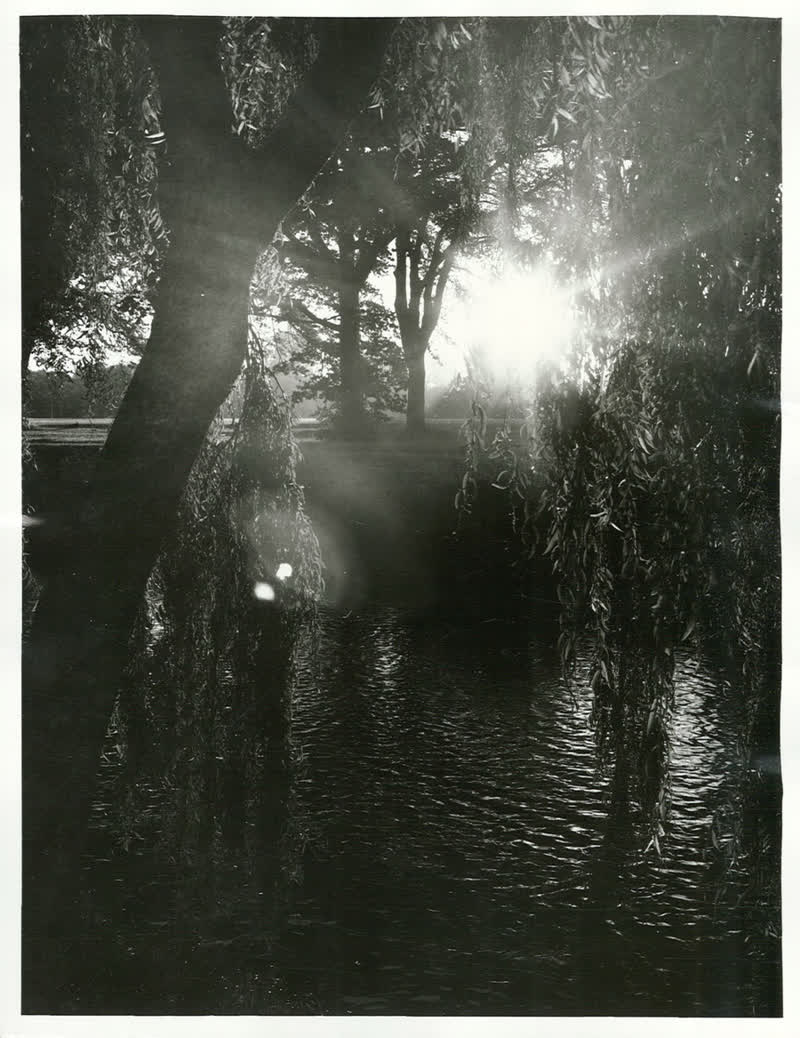 Canterbury - Christchurch City - Avon River, 1976