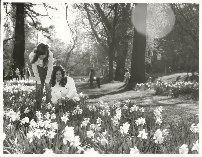 Canterbury - Christchurch City - Hagley Park, 1972