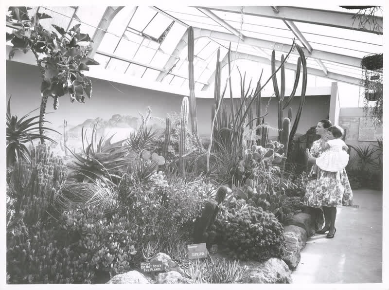 Christchurch Parks & Reserves, 1964
