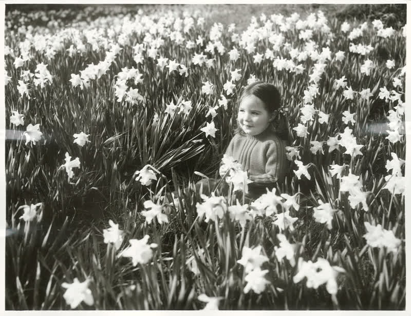 Christchurch City - Hagley Park, 1971
