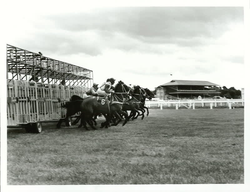 Sports - Equestiran and Racing - Horse racing, 1982