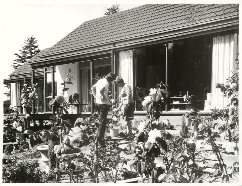 Housing, 1972